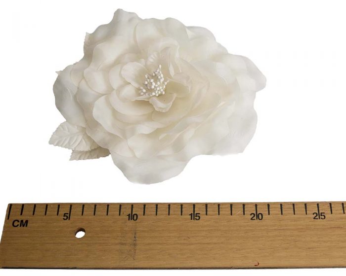 Large ivory rose flower