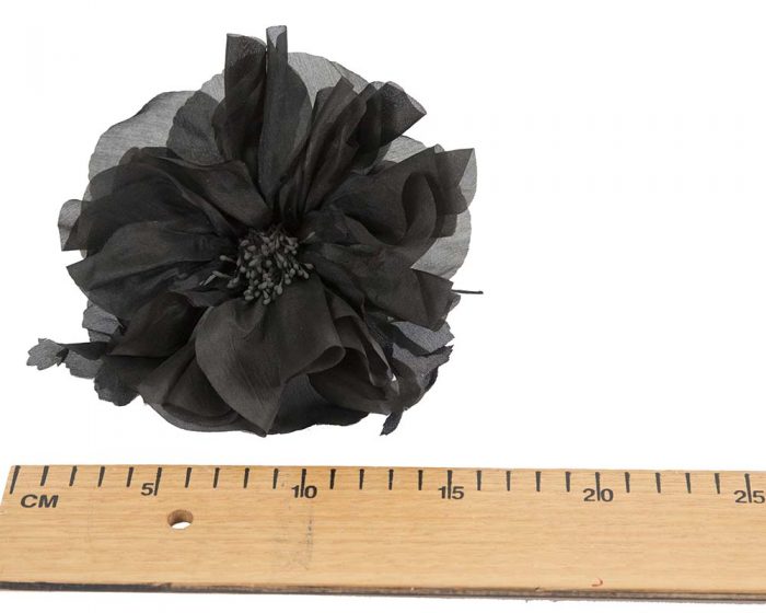 Fancy black poppy flower