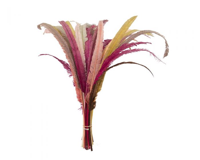 Long ostrich feather (many colors)