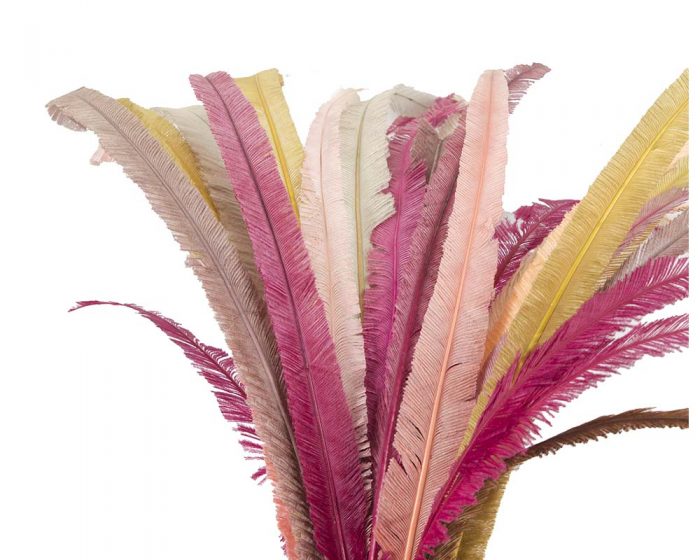 Long ostrich feather (many colors) - Image 2