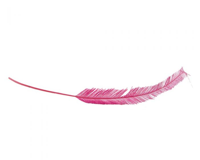 Long ostrich feather (many colors) - Image 3