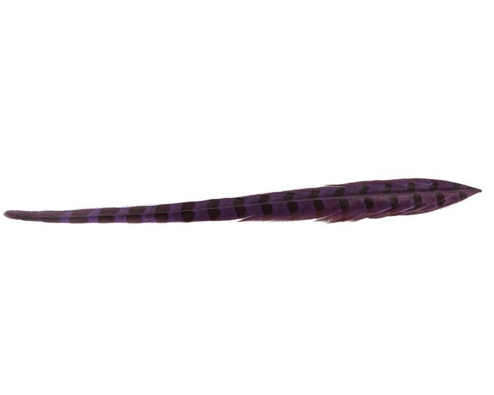 30cm pheasant feather with stripes - Image 2