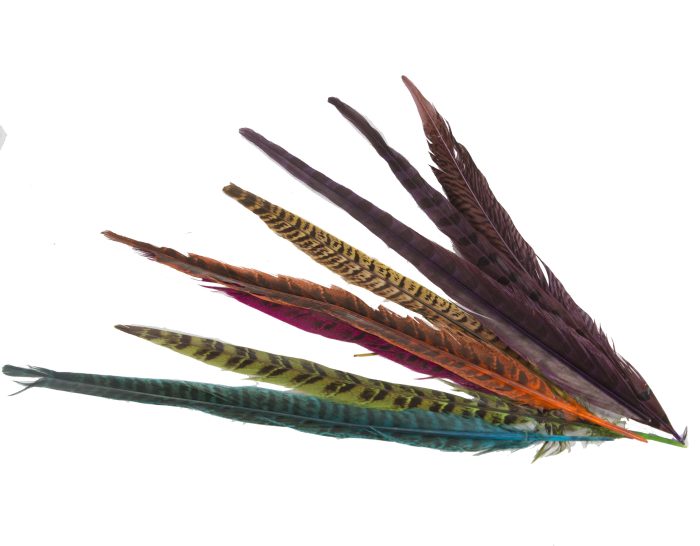 30cm pheasant feather with stripes