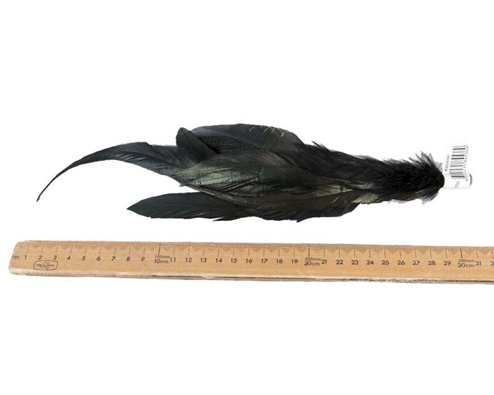 Black Feather Rooster Coque Tail