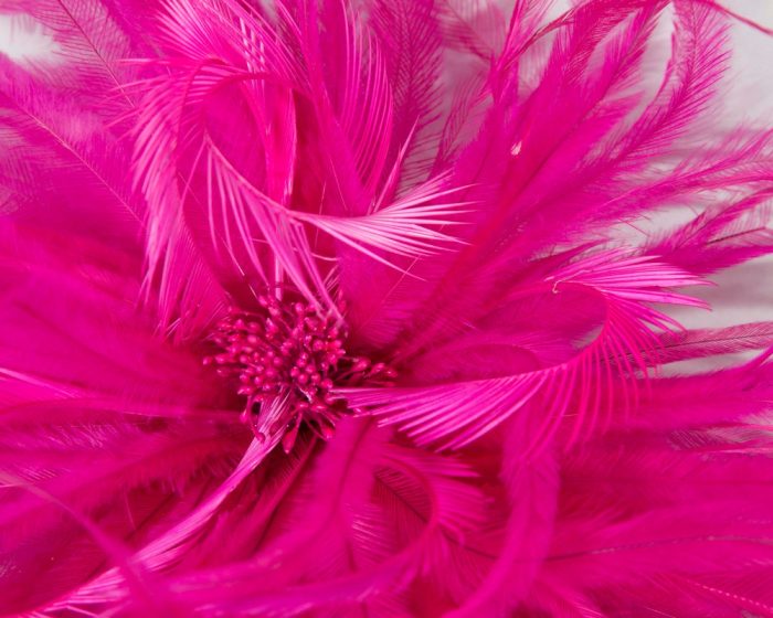 Ostrich fringe Feather Bunch Broche - Image 9