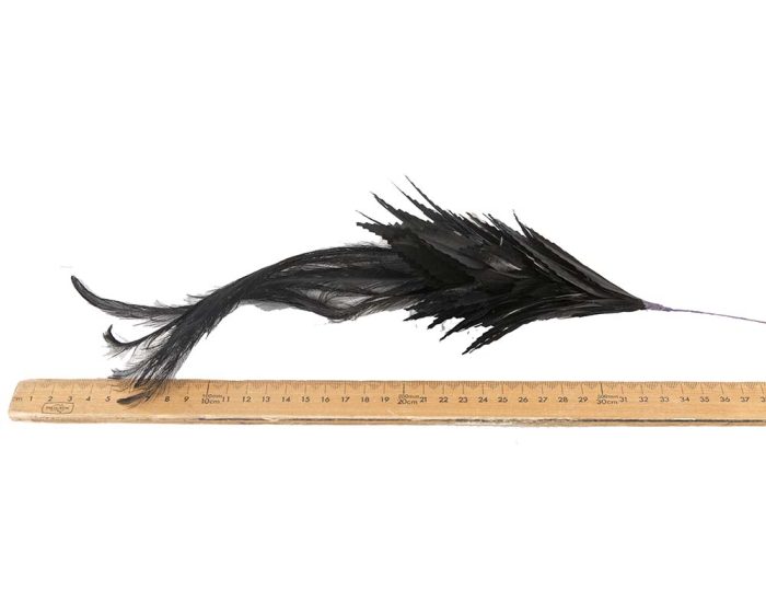 Feather Bunch - Image 4